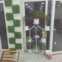 به یک شاگرد خانم نیاز مندیم
