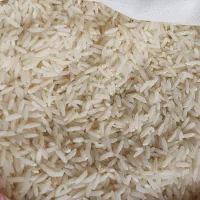 برنج صدری هاشمی اعلا گیلان