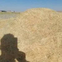 کاه
