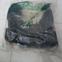 پوتین نو