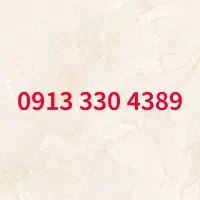 09133304389