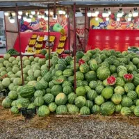به یک عددهمکار برای کار درمیوه فروشی