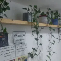 شلف دیواری چوبی روس محکم