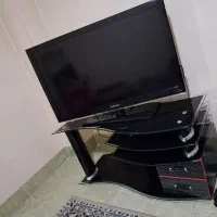 تلوزیون