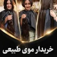 خریداراصلی  مو قیمت دلاری