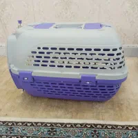 باکس گربه