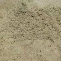فروش گیاه