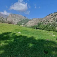 زمین پرستاران دهدشت