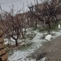ولنده قطعه زمین به مساحت ۹۰متر بابر ۹در۱۰درولنده
