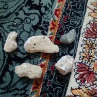 سنگ برای تزیین آکواریوم
