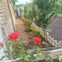 فروش باغ در زویار