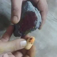 توجه توجه