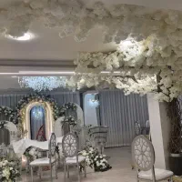 برقکار حرفه‌ای