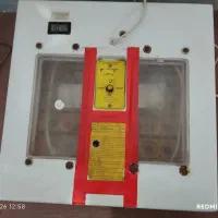 دستگاه جوجه کشی