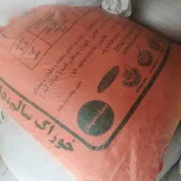 فروش جو محلی