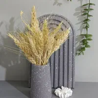 سنگ مصنوعی برای عکاسی