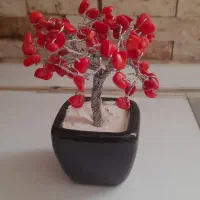 درختچه های سنگ اصل و سنگ نمک تزئینی