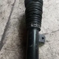 کمک زانتیا رفع روغن دهی