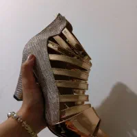 کفش مجلسی