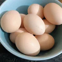 تخم نطفه دار لاری
