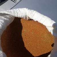 خاکشیر