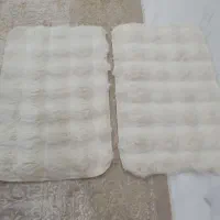 پادری .