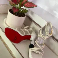 کفش مجلسی