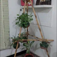 استند گل زیبا همراه با گل و گلدان