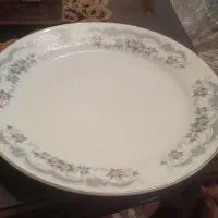 پلو خوری ۱۲ تایی دونه ای ۲۰۰