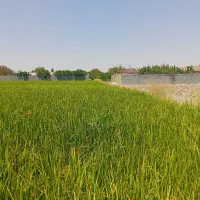 زمین-موقعیت-با-لوکیشن-خوب-برای-ویلا-سازی-و-کارگاه