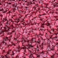 زرشک|خوردنی و آشامیدنی|نیشابور, فضل|دیوار