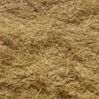 کاه گندم زابل فروشی