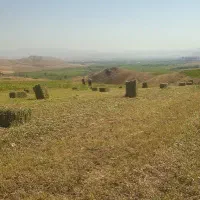 یونجه