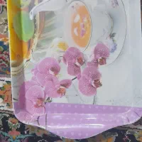 سینی زیر استکان