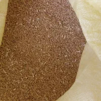 گندم تمیز
