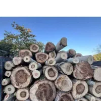 قطع انواع درخت وخرید چوب سقفی به صورت نقدی