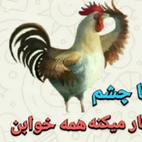 راهنمای ومشورت