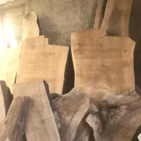 فروش مقداری تنه کهور (آکاسیا)