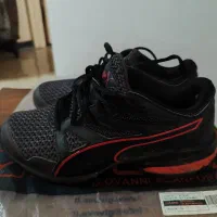 کتونی پوما اورجینال سایز ۳۷