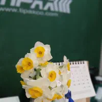 تیپاکسیار توزیع محدوده بازار نیازمندیم