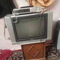 تلوزیون