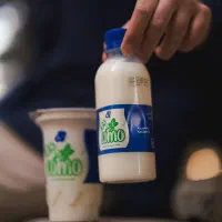 فروش انحصاری دوغ لیوانی و ماست موسیر