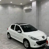 دیتیلینگ خودرو در محل،احیای رنگ،سرامیک