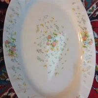 دیس پلو خوری