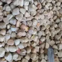 گرگرو
