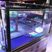 اکواریوم وارداتی فول