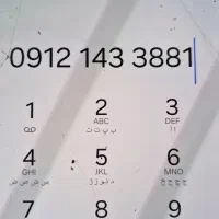 09121433881
