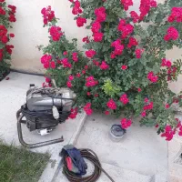 لوله بازکنی شاهین ٪100تضمینی،نشت یابی کل‌ رشت