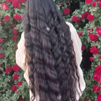 خریدار مو طبیعی بدون واسطه