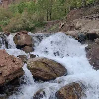 تور تفریحی